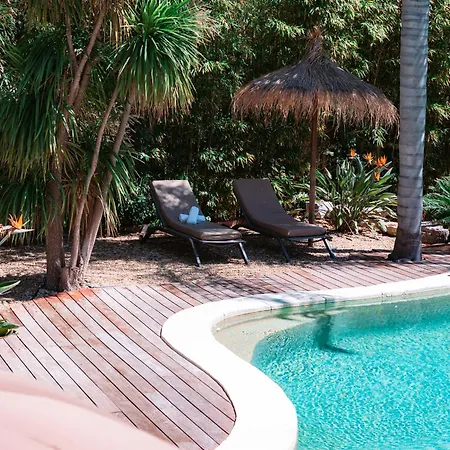Guest house St Barth Cannes